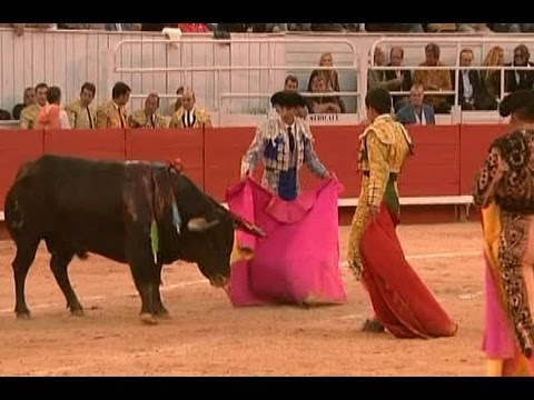 France disappoints activists by upholding bullfighting