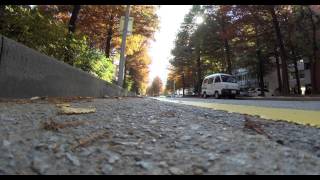 preview picture of video 'SKKU Suwon Campus - Fall 2014 - Street View'