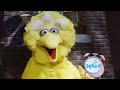 Sesame Street Episode 3913 Scene 1