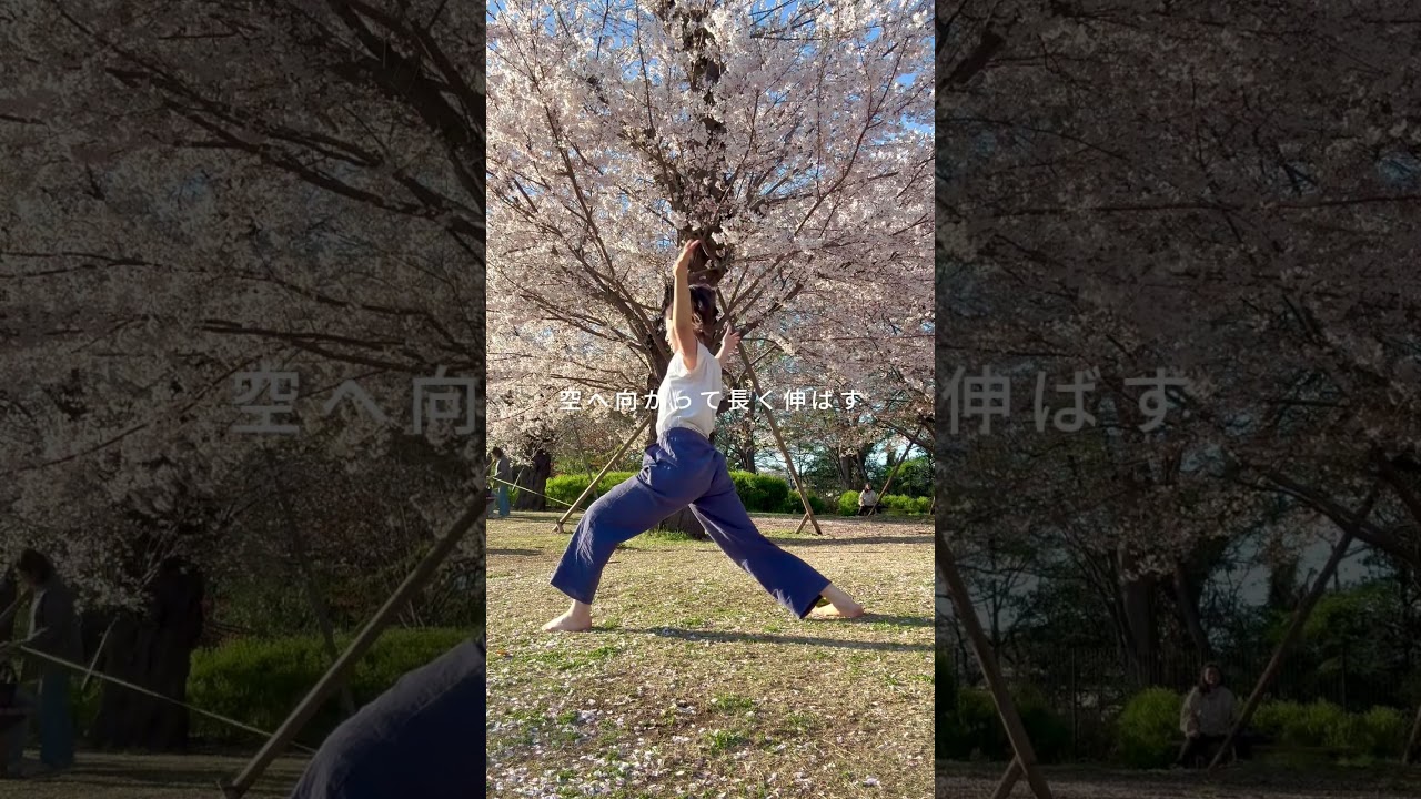 簡単にできる太陽礼拝｜桜ヨガ2026🌸