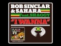 Bob Sinclar & Saharah ft. Shaggy - "I Wanna ...