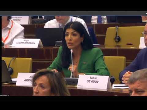 PACE Autumn Session 2023. N.Arpadarai question to Thomas de Waal on situation around Karabakh