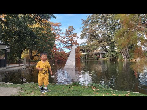 Autumn day out with my boys