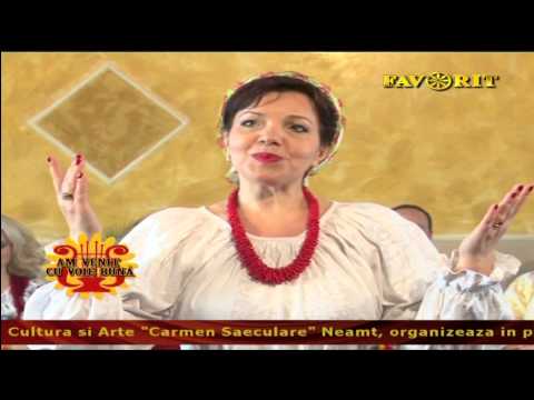 Irina Zoican - Ma vorbesc dusmani, dar nu-mi pasa (Favorit TV) 07.03.2015