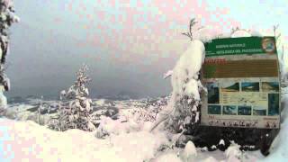 preview picture of video 'Neve sul Monte GIOGO in Val d'Arda-Enduro a Piedi'