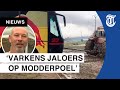 Max-fans van Spa naar Zandvoort: ‘Tot onze enkels in de modder’