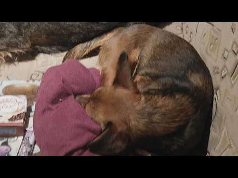 Harmadik felvonás, év végi epikus elköszönés, élőben!