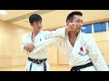 Awesome Kata Bunkai by Naka Shihan from JKA!