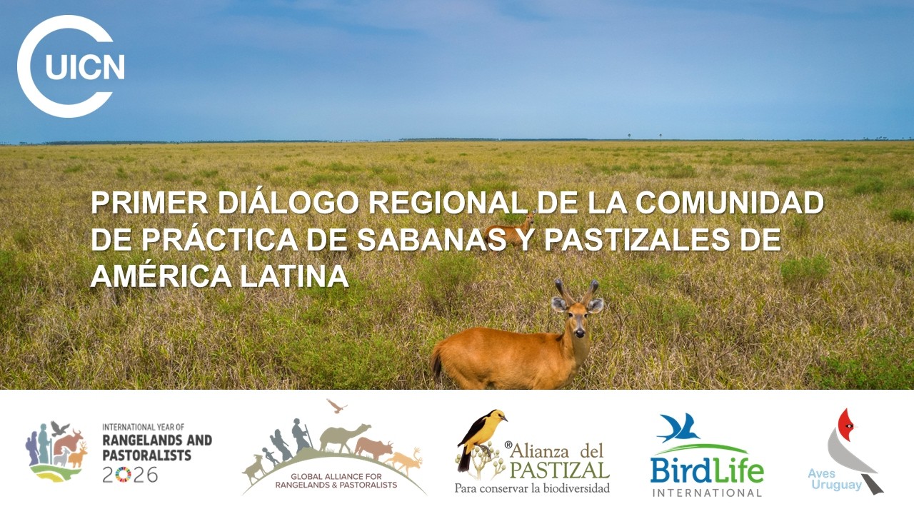 Primer Diálogo Regional de la Comunidad de Práctica de Sabanas y Pastizales de América Latina
