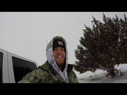 Coyote Hunting - Central Utah - New Years Day 2020