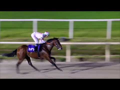 221016 c11 LEOPARD DANCE