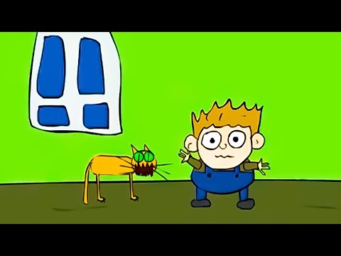 GENERAŁ ITALIA - KICI KICI