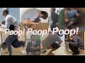 Poop Poop Poop Enjoy Various Pooping Scenes