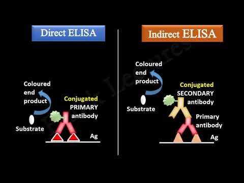 Elisa Testi nedir? Okuması ve Tanımı-Sandwich ELISA - Direct Sandwich ELISA - Indirect Sandwich ELISA