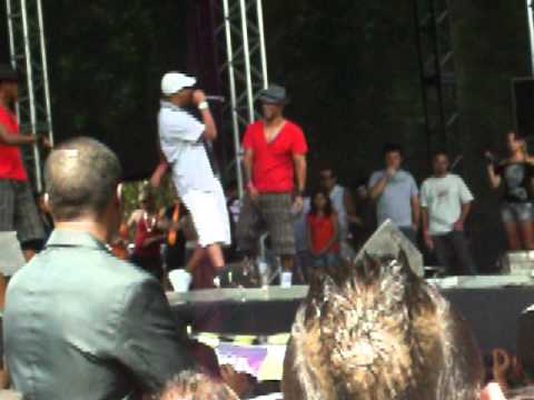 Intercollege 12/12 mc k9 (4)