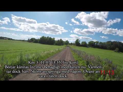 Jordgubbslunken 2017 - 11 km (Löparperspektiv)