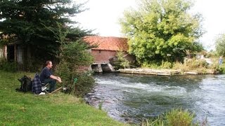 HAMPSHIRE AVON, BRITFORD FISHERY, SALISBURY, WILTSHIRE