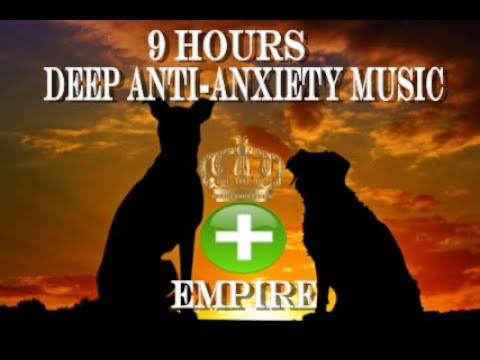 9 Hours of Deep Separation Anxiety For Dog Relaxation(tested)