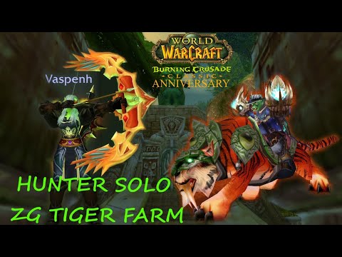 HOW TO SOLO FARM THE ZG TIGER AS HUNTER REAL EASY - TBC ANNIVERSARY