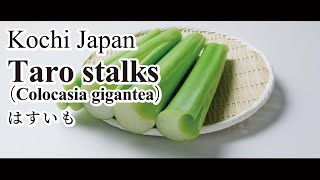 What are taro stalks? Try a simple recipe for taro stalks dressed with sweet vinegar