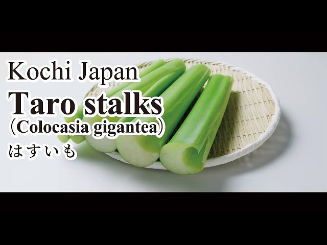 What are taro stalks? Try a simple recipe for taro stalks dressed with sweet vinegar