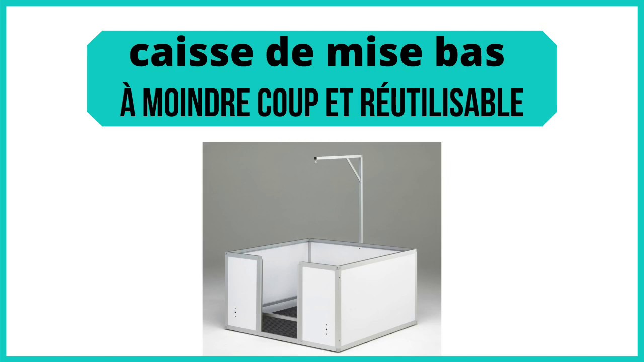 Caisse de mise bas chien chat animaux à moindre coup et réutilisable