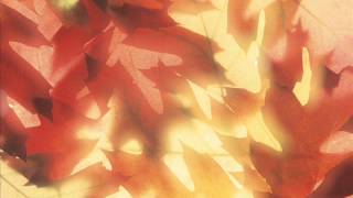 Julianna Barwick   One Half