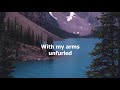 Welcome To My World by Jim Reeves - 1962 (with lyrics)