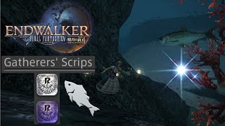 Final Fantasy XIV - Best way to farm both Gatherer Srips (Spearfishing Edition)