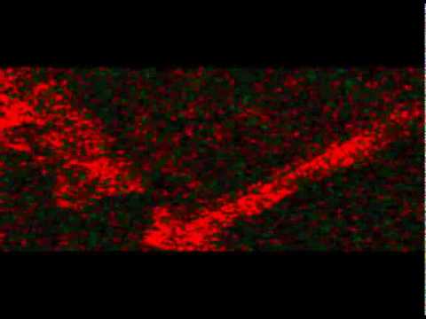 fuckdresscode are comin.flv