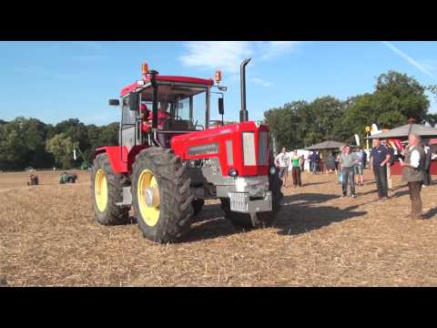 Schlüter 2000 hat 1986 150.000 DM gekostet + 2016 mit 150.000 Euro gehandelt ?