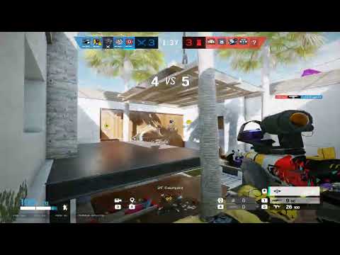 Courtyard 2nd Floor Bush Spot