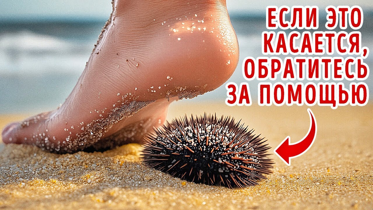 🌊 Тайны Глубин: Необычные Факты о Морских Существах, Которые Скрываются Под