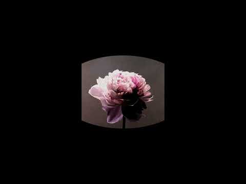[FREE] Nekfeu x Dinos Type Beat - Chrysanthème