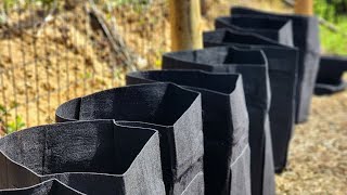 Planting Potatoes In Grow Bags | EverCrest
