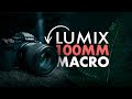 Panasonic LUMIX S 100mm F2.8 Macro Lens | In The Field