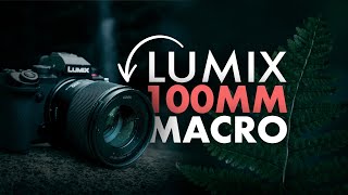 Video thumbnail for Panasonic LUMIX S 100mm F2.8 Macro Lens | In The Field with Aidin Robbins by Adorama