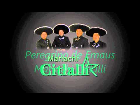 Misa Mariachi New York Peregrino de Emacs (914) 912-1497