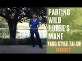 Parting Wild Horses Mane Yang Style Tai Chi; Lesson 2