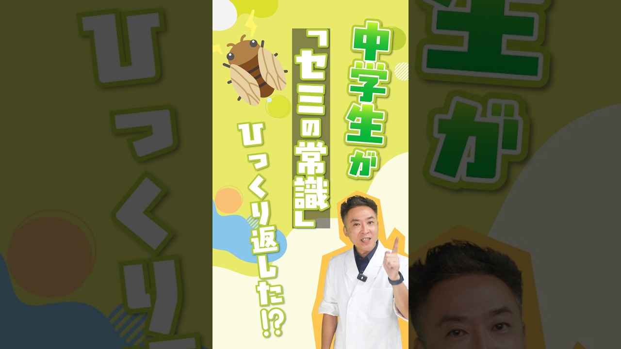 セミの寿命って・・・。