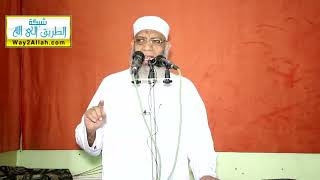 مكانة النبي | الشيخ شوقي عبد الصادق image