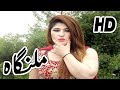 Malanga Khushboo Pashto Song HD Video