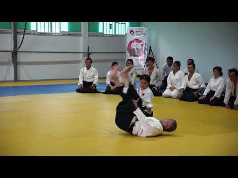 2023 HAF Aikido Seminar - Shihan Etsuji Horii - Suwari waza katate dori kokyu ho variation 2