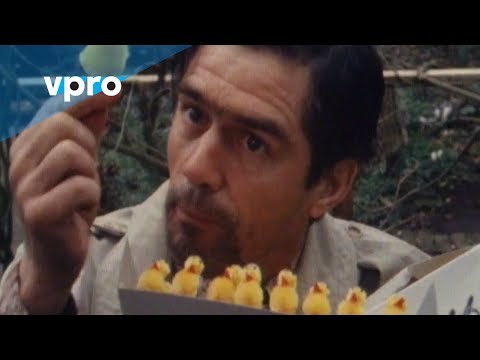 De paaskuikentjes van de vieze man