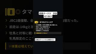 競馬予想　関東オークス　タマモフリージア