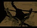 PORTAL -  Illoomorpheme (Swarth 2009)