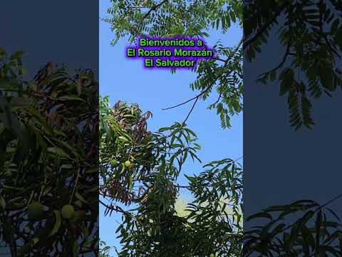 El Rosario Morazan El Salvador