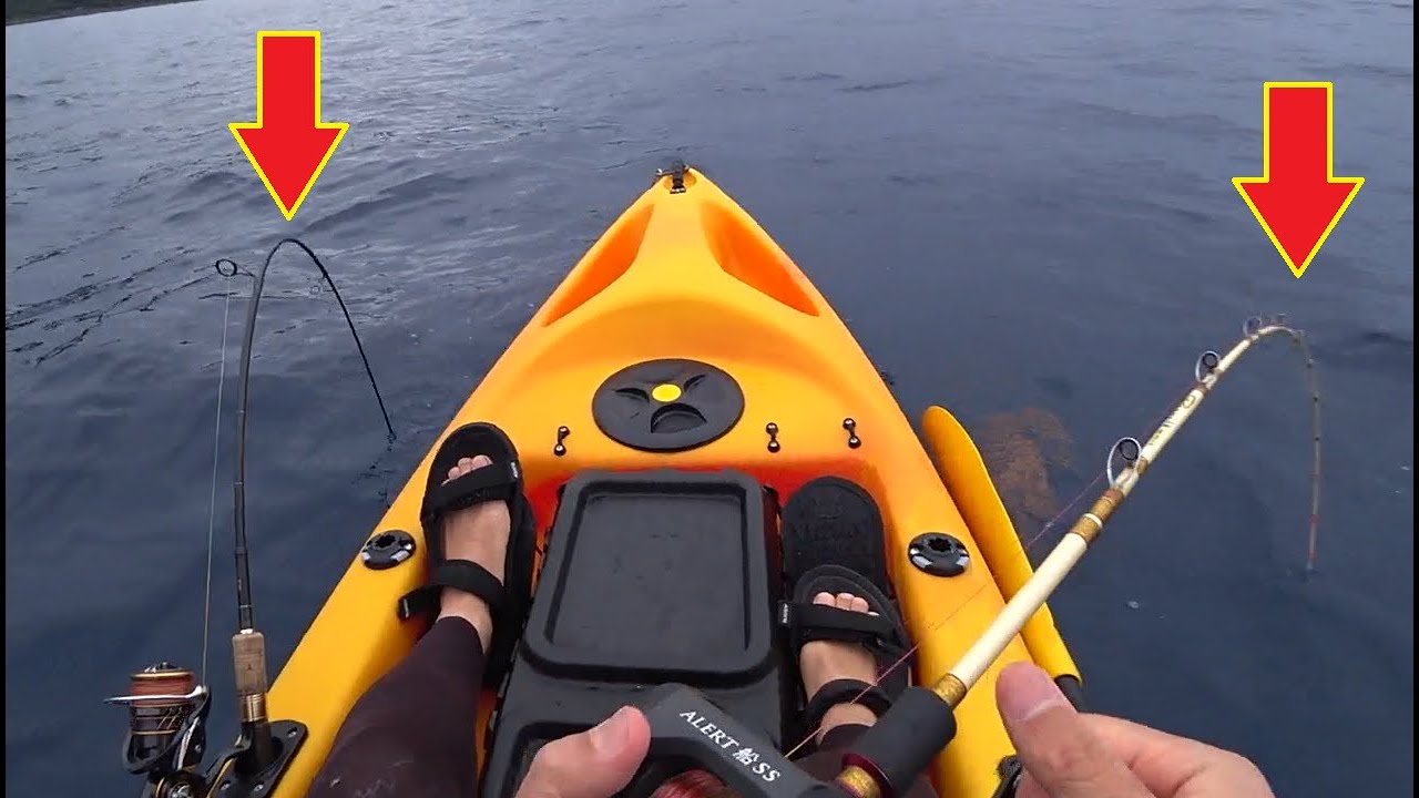 大物がダブルヒットしてパニックになる釣り人