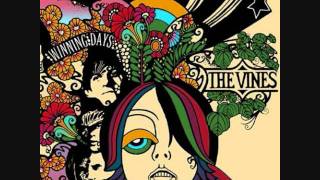 The Vines - Amnesia