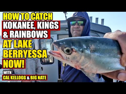 Capt. Big Nate video